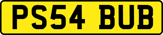 PS54BUB