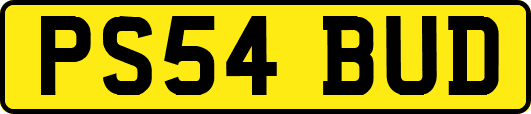 PS54BUD