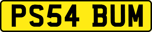 PS54BUM