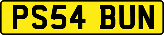 PS54BUN