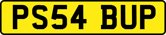 PS54BUP