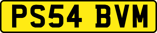 PS54BVM