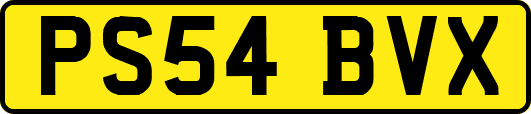 PS54BVX