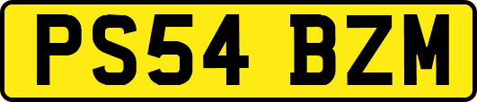 PS54BZM