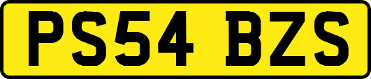 PS54BZS