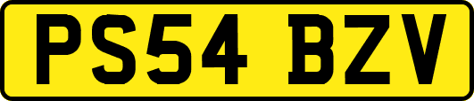 PS54BZV