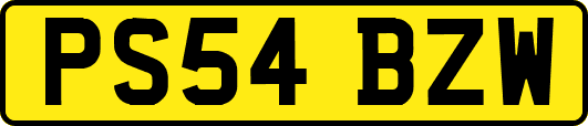 PS54BZW