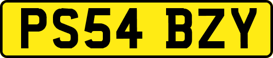 PS54BZY