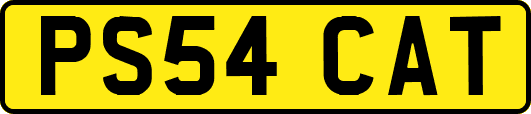 PS54CAT