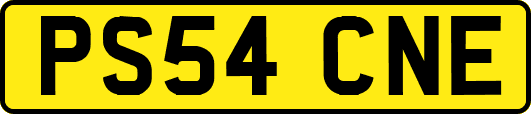 PS54CNE