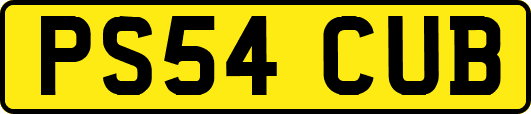 PS54CUB