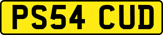 PS54CUD