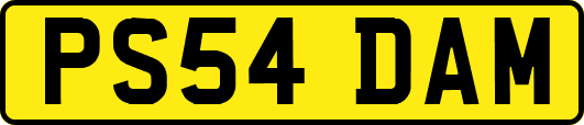 PS54DAM