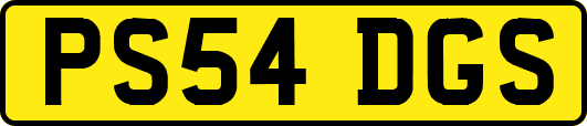 PS54DGS