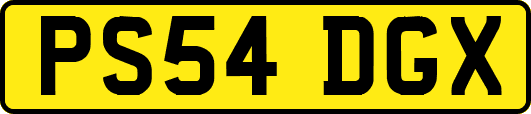 PS54DGX