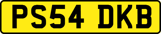 PS54DKB