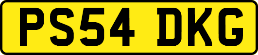 PS54DKG