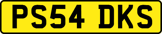 PS54DKS