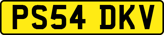 PS54DKV