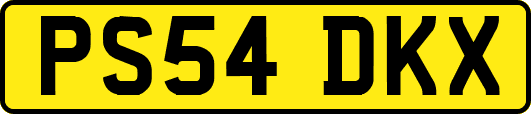PS54DKX