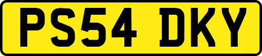 PS54DKY