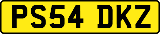 PS54DKZ