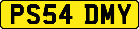 PS54DMY