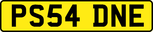 PS54DNE