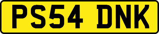 PS54DNK