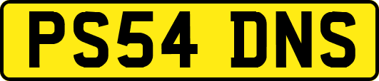 PS54DNS