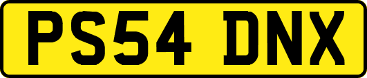 PS54DNX
