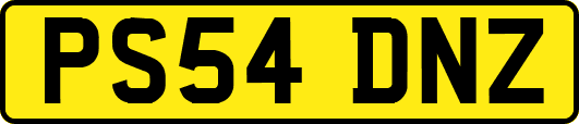 PS54DNZ
