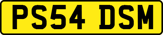 PS54DSM