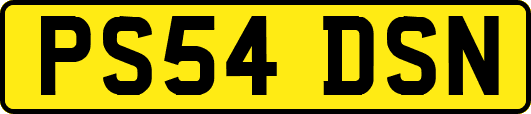 PS54DSN