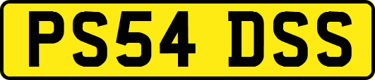 PS54DSS