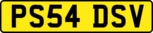PS54DSV