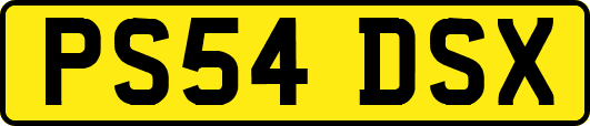 PS54DSX