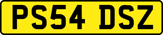 PS54DSZ