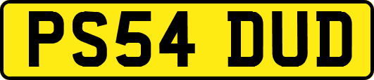PS54DUD