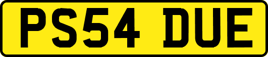 PS54DUE