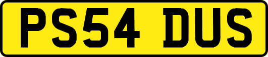 PS54DUS