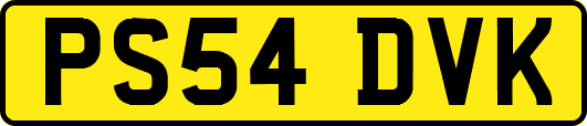 PS54DVK
