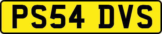 PS54DVS