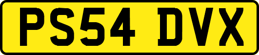 PS54DVX