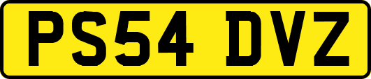PS54DVZ