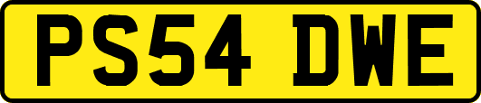 PS54DWE