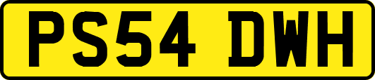 PS54DWH