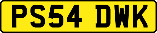 PS54DWK