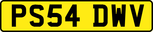 PS54DWV