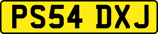 PS54DXJ
